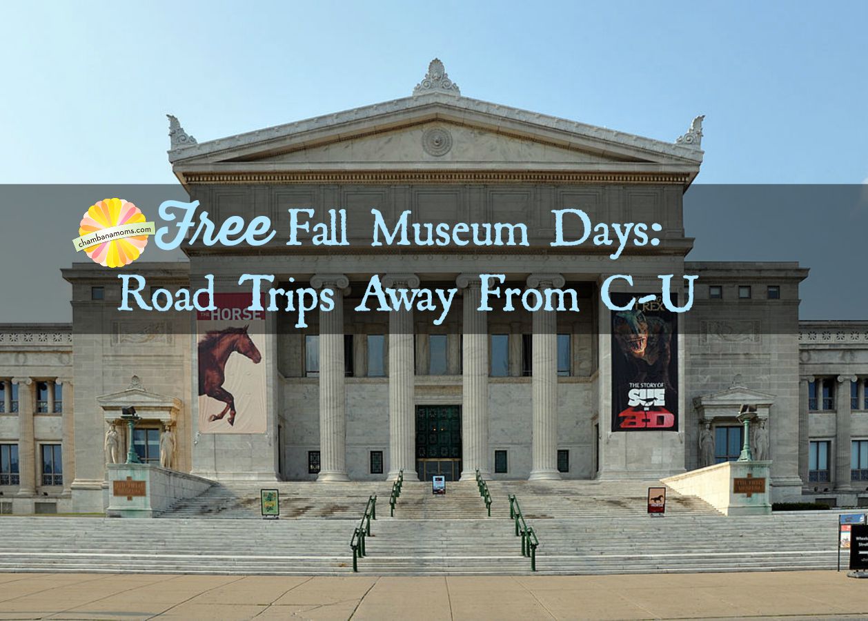 Free Fall Museum Days Chicago, Indy, St. Louis