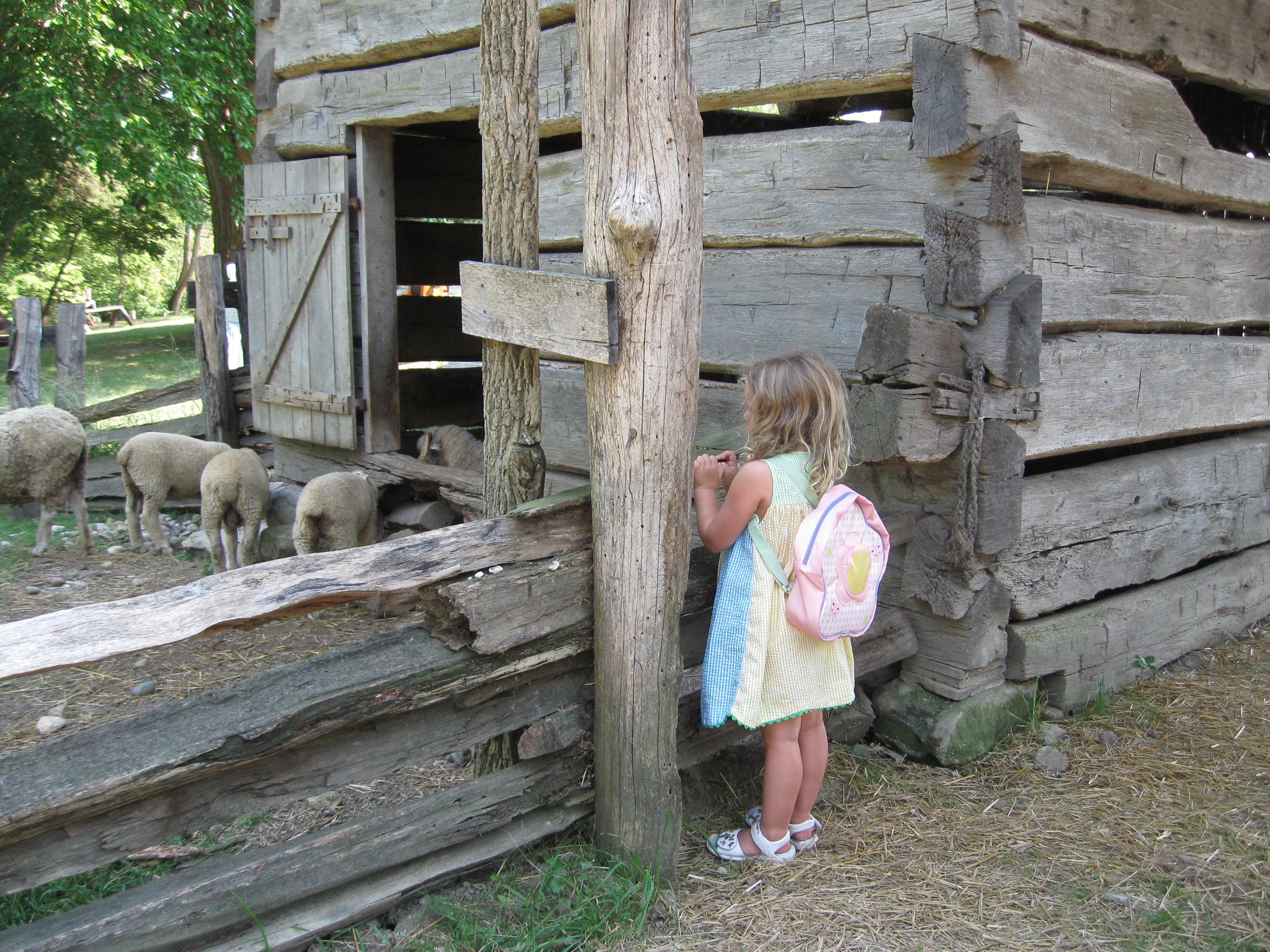 Abraham Lincoln Log Cabin 1 Chambanamoms Com