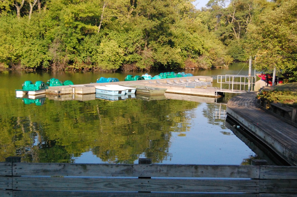 The boats at Crystal Lake Park, Urbana