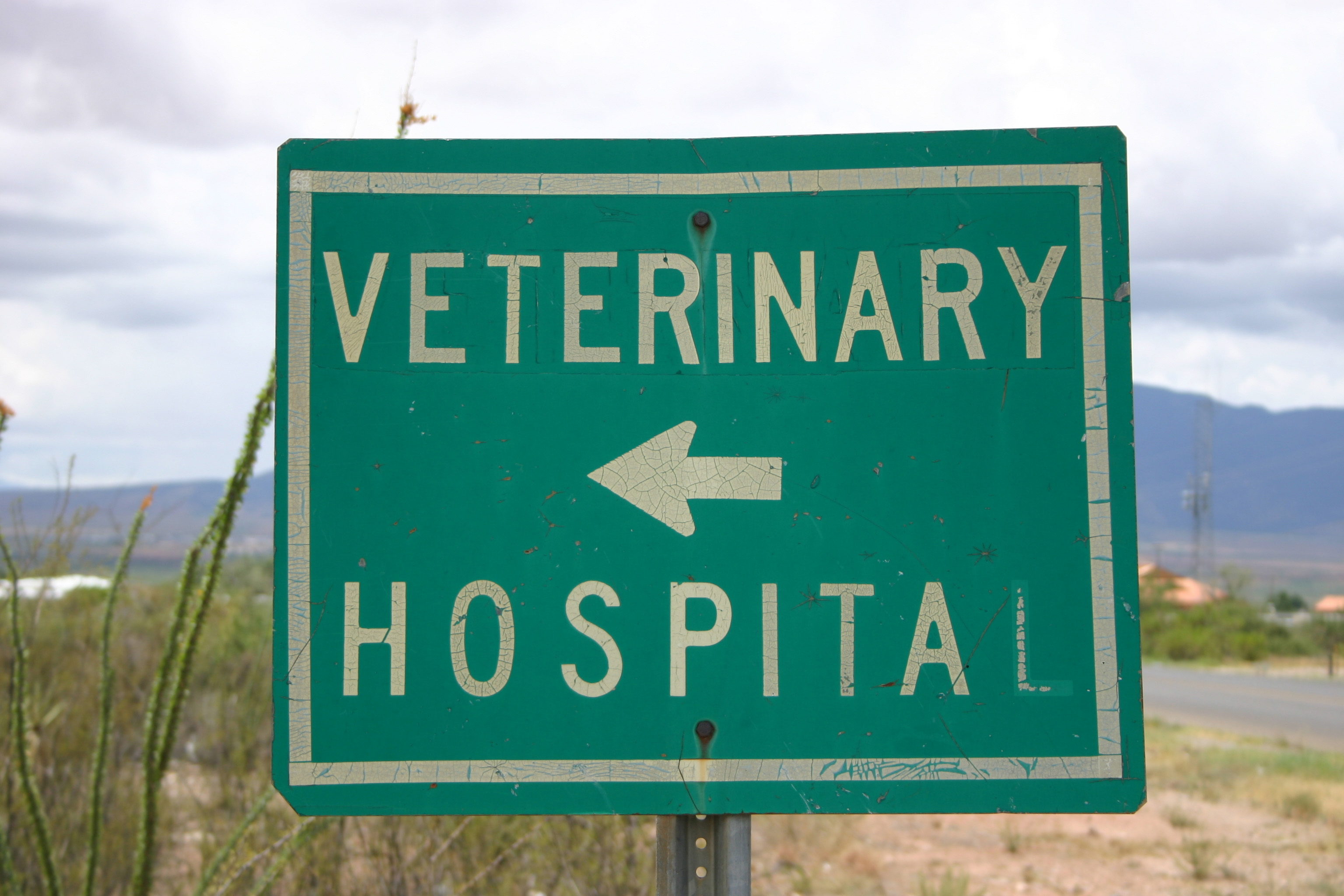 Readers Recommend Veterinarians In The Champaign Urbana Area