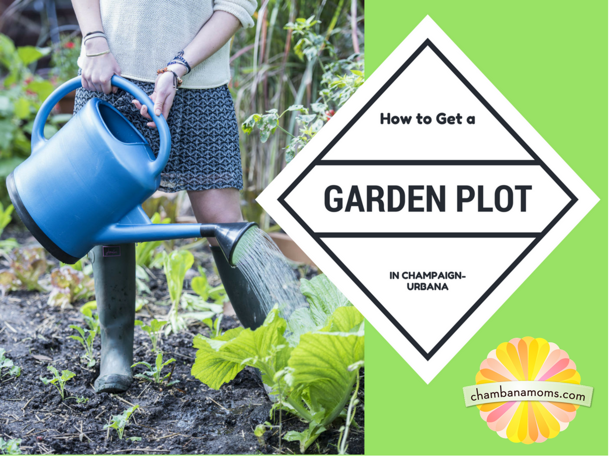 How to Get a Garden Plot in Champaign Urbana