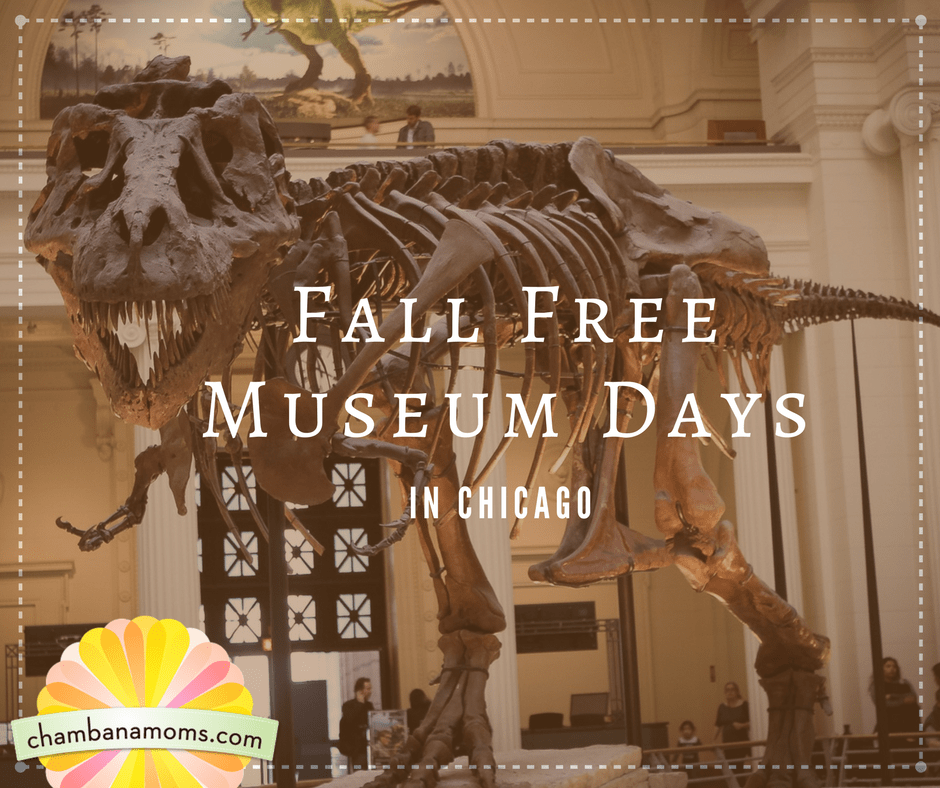 Fall Free Admission Days at Chicago Museums LaptrinhX / News