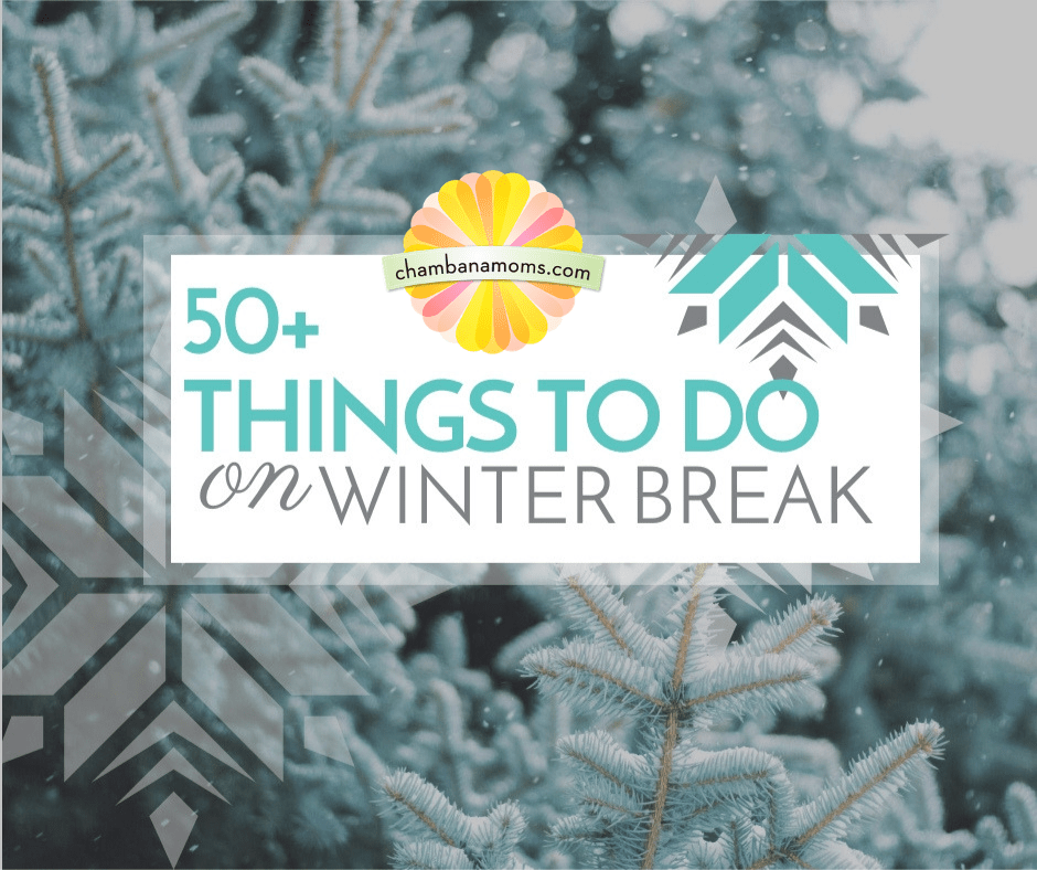 50-things-to-do-in-champaign-urbana-over-winter-break-laptrinhx-news