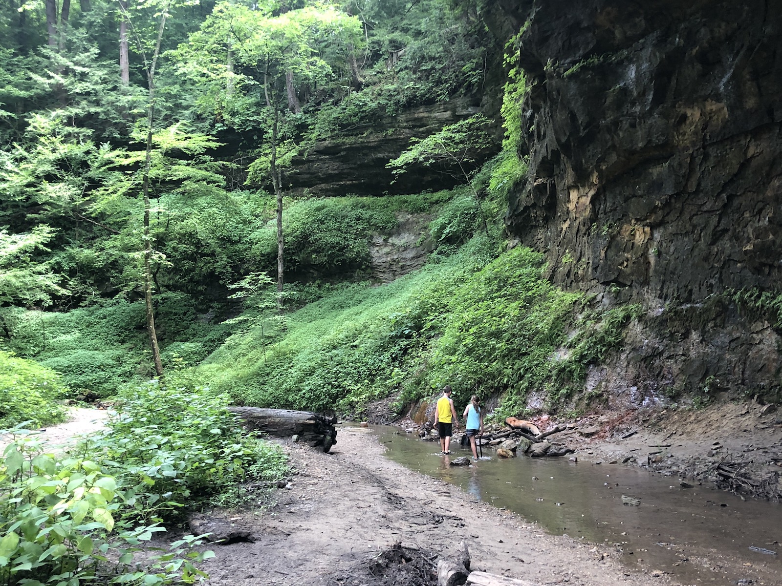 turkey run mountain bike trail