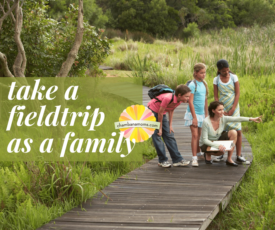 Take a Field Trip as a Family | ChambanaMoms.com