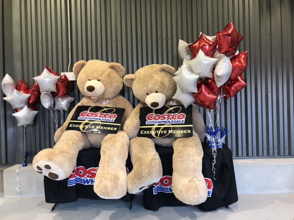 xl teddy bear costco