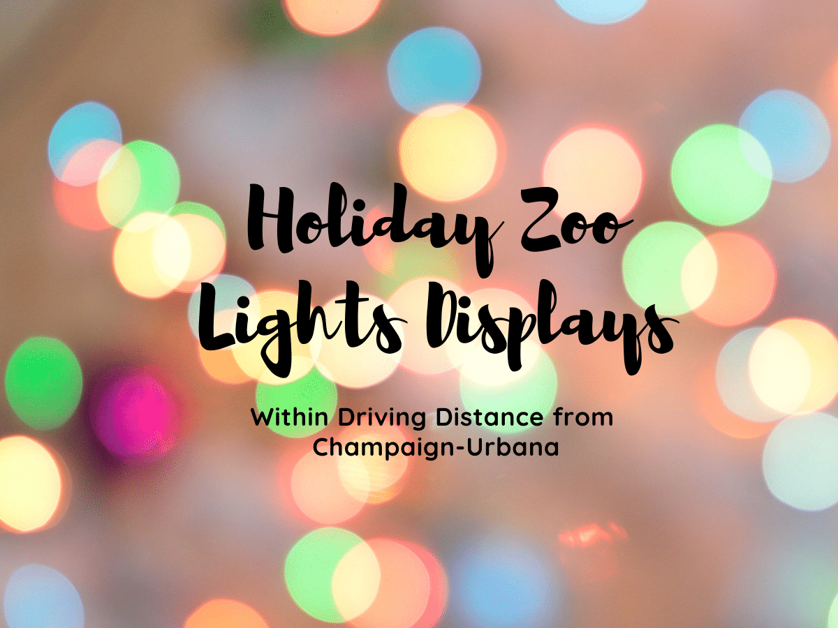 Holiday Lights at the Zoo Where to Go Within Driving Distance From