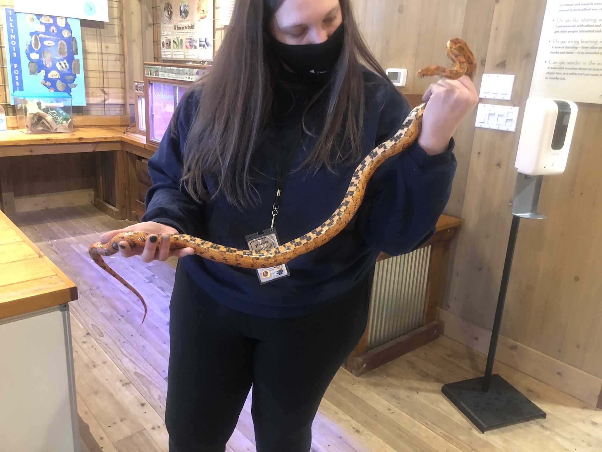 Meet a snake at Anita Purves