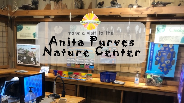 Visit the Anita Purves Nature Center